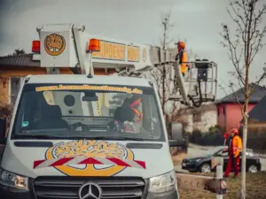 baumdienst-hebebuehne