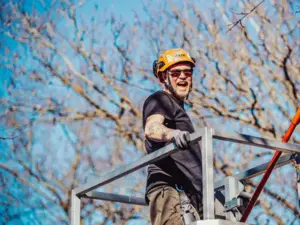 baumpfleger-patrick-bei-der-arbeit