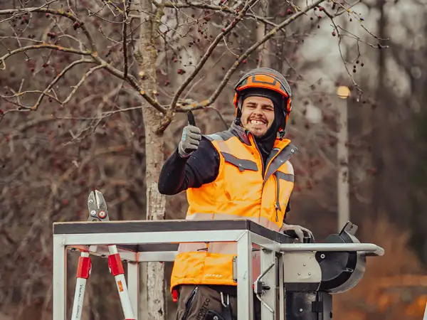 nikkos-zeigt-daumen-hoch