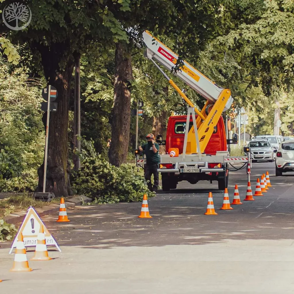 allerhöhste-vorsicht-im-straßenverkehr
